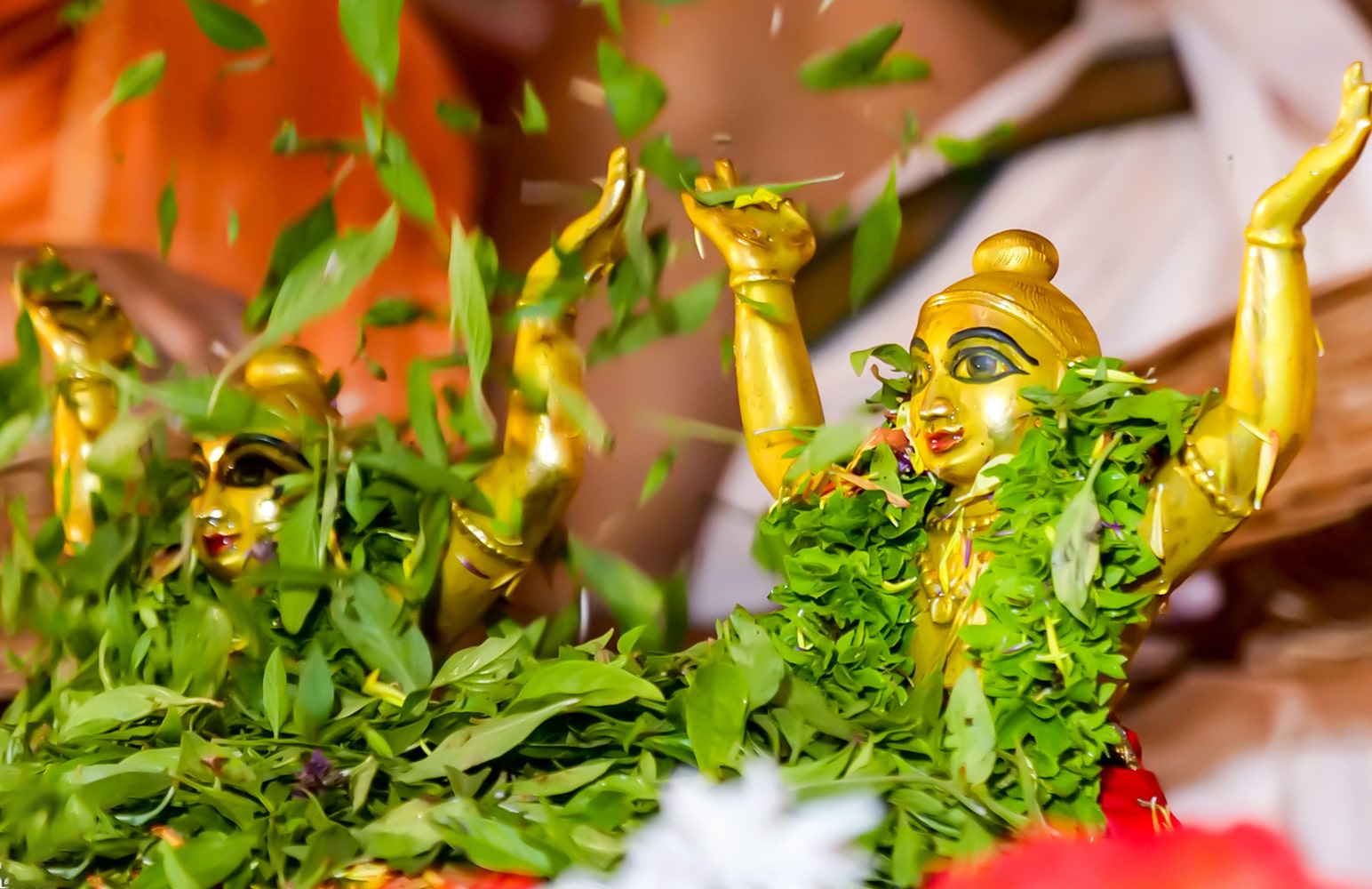 Nityananda Trayodashi