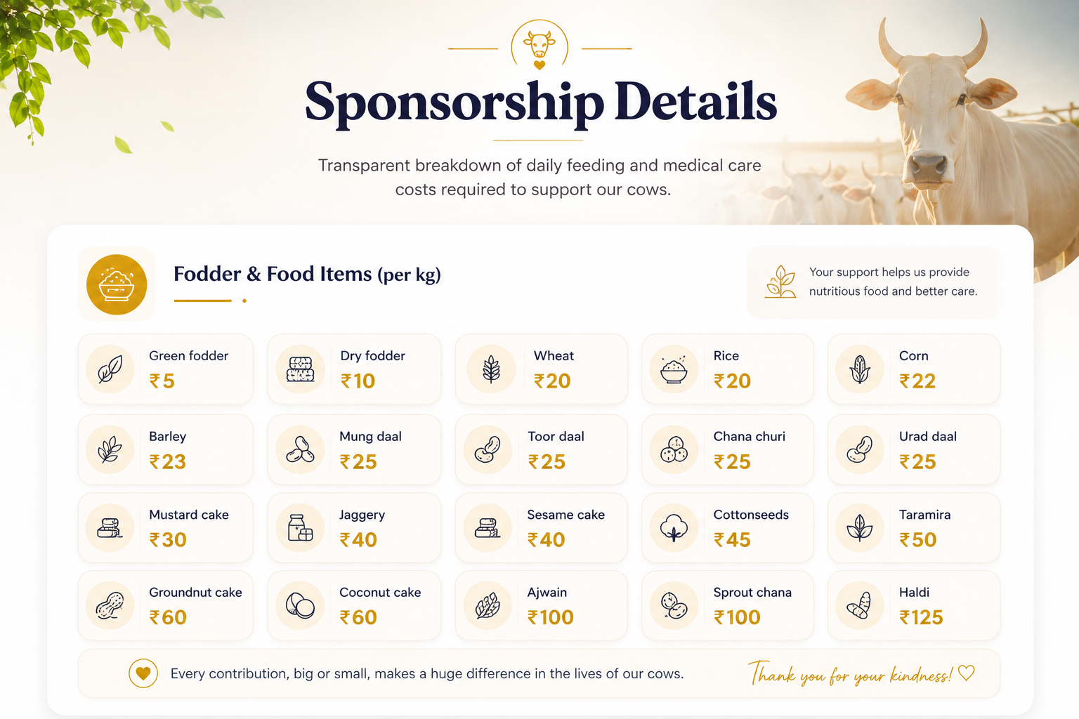 Sponsorship Details