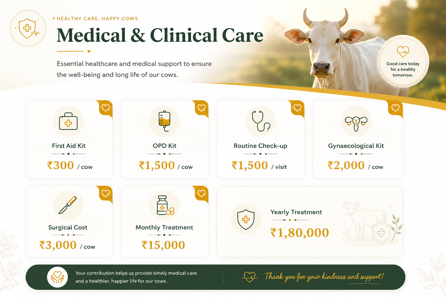 Medical Care Details